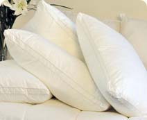 Hotel Pillows